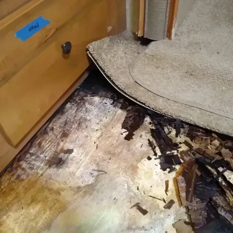 Wood Floor Water Damage in Elmwood Park, IL